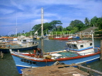 SRI LANKA, Negombo, fishing boats in lagoon, SLK278JPL