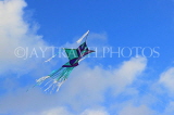 SRI LANKA, Negombo, kite flying, SLK3563JPL