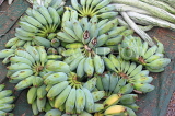 SRI LANKA, Negombo, market, fruit and vegetable market, Ash Plantains (used as vegetables), SLK6189JPL