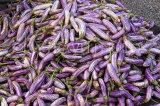 SRI LANKA, Negombo, market, fruit and vegetable market, Aubergines, SK6187JPL