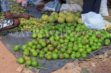 SRI LANKA, Negombo, market, fruit and vegetable market, Avocado fruit, SLK6186JPL