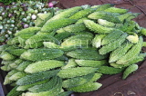 SRI LANKA, Negombo, market, fruit and vegetable market, Bitter Gourds, SK6188JPL