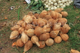 SRI LANKA, Negombo, market, fruit and vegetable market, Coconuts (husk off) for sale, SLK2669JPL
