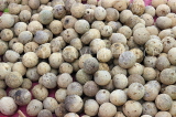 SRI LANKA, Negombo, market, fruit and vegetable market, Wood Apple fruit, SLK6191JPL