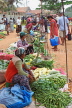 SRI LANKA, Negombo, market, fruit and vegetable market, vendors and shoppers, SLK2712JPL