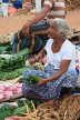 SRI LANKA, Negombo, market, vendor selling Betel leaves and tobacco, SLK2666JPL