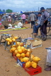 SRI LANKA, Negombo, market scene, King Coconut (Thambili)  for sale, SLK1994JPL