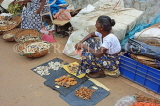 SRI LANKA, Negombo, market scene, dry fish market, SLK2653JPL