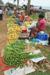SRI LANKA, Negombo, market scene, fruit and vegetable market, SLK2682JPL