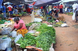 SRI LANKA, Negombo, market scene, fruit and vegetable market, SLK6141JPL