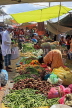SRI LANKA, Negombo, market scene, fruit and vegetable market, SLK6153JPL