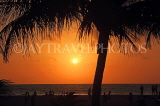 SRI LANKA, Negombo, sea, sunset, coconut tree, and people on beach, SLK3611JPL