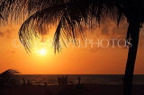 SRI LANKA, Negombo, sea, sunset, coconut tree, and people on beach, SLK3614JPL