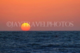 SRI LANKA, Negombo, sea view, and sun setting over horizon, SLK3554JPL
