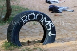 SRI LANKA, Negombo, sign advertising rooms to let, painted on tyre, SLK6112JPL