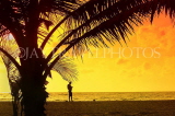 SRI LANKA, Negombo, sunset, sea, and coconut tree in silhouette, SLK5928JPL