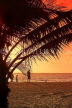 SRI LANKA, Negombo, sunset, sea, and coconut tree in silhouette, SLK5930JPL