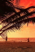 SRI LANKA, Negombo, sunset, sea, and coconut tree in silhouette, SLK5931JPL