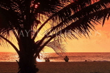 SRI LANKA, Negombo, sunset, sea, and coconut tree in silhouette, SLK5933JPL