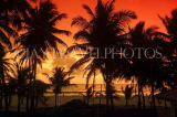 SRI LANKA, Negombo, sunset, sea, and coconut trees, SLK6024JPL