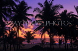 SRI LANKA, Negombo, sunset, sea, and coconut trees, SLK6025JPL