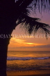SRI LANKA, Negombo, sunset and coconut tree sildouette, SLK1832JPL