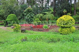 SRI LANKA, Nuwara Eliya, Victoria Park, SLK4315JPL