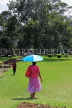 SRI LANKA, Nuwara Eliya, Victoria Park, visitor with umbrella strolling in the sun, SLK4309JPL