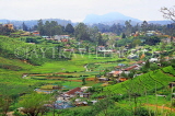 SRI LANKA, Nuwara Eliya, mountain scenery and farmed land, SLK4399JPL