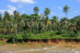 SRI LANKA, Pinnewala, Maha Oya (Big River) and coconut plantation, SLK2421JPL