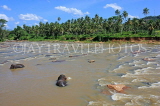 SRI LANKA, Pinnewala, elephant (tusker) bathing in Maha Oya (Big River), SLK2267JPL