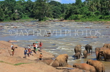 SRI LANKA, Pinnewala, elephants bathing in Maha Oya (Big River), tourists watching, SLK2335JPL