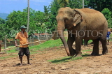 SRI LANKA, Pinnewala Elephant Orphanage, elephant and mahout, SLK2375JPL