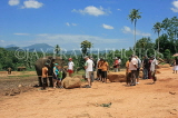 SRI LANKA, Pinnewala Elephant Orphanage, tourists at site, SLK2412JPL