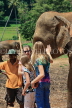 SRI LANKA, Pinnewala Elephant Orphanage, tourists petting elephant, SLK2376JPL