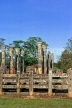 SRI LANKA, Polonnaruwa, Quadrangle group ruins, stone pillar fence at Lata Mandapaya dagoba, SLK2229JPL