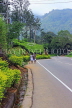 SRI LANKA, Pussellawa, Nuwara Eliya Road running through tea plantaions, SLK4230JPL