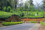 SRI LANKA, Pussellawa, Nuwara Eliya Road running through tea plantations, SLK4173JPL
