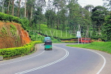 SRI LANKA, Pussellawa, Nuwara Eliya Road running through tea plantations, SLK4208JPL