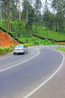 SRI LANKA, Pussellawa, Nuwara Eliya Road running through tea plantations, SLK4209JPL