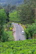 SRI LANKA, Pussellawa, Nuwara Eliya Road running through tea plantations, SLK4213JPL