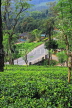 SRI LANKA, Pussellawa, Nuwara Eliya Road running through tea plantations, SLK4216JPL