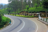 SRI LANKA, Pussellawa, Nuwara Eliya Road running through tea plantations, SLK4235JPL