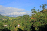 SRI LANKA, Pussellawa, hillside scenery, SLK4341JPL