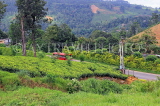SRI LANKA, Pussellawa, tea plantation (estate), SLK4180JPL