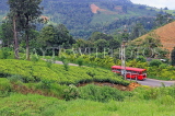 SRI LANKA, Pussellawa, tea plantation (estate), and public bus, SLK4182JPL