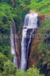 SRI LANKA, Ramboda, Ramboda Falls, SLK4254JPL