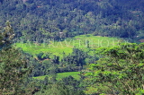 SRI LANKA, Ramboda, hillside scenery, and terraced Rice (Paddy) fields, SLK4462JPL