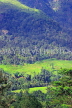 SRI LANKA, Ramboda, hillside scenery, and terraced Rice (Paddy) fields, SLK4463JPL