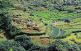 SRI LANKA, Ramboda, hillside scenery, terraced farmed land, SLK4377JPL